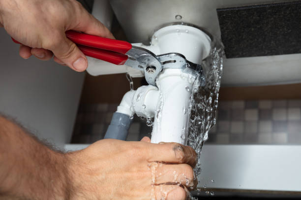 Best Mold removal after water damage  in Lake Oswego, OR