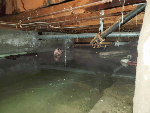 Lake Oswego, OR Water damage restoration Company