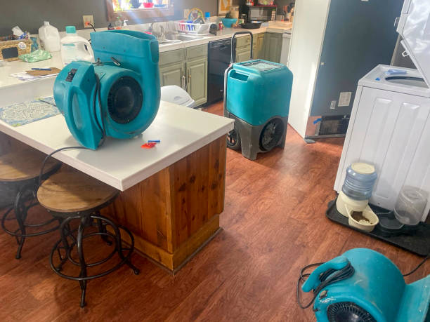 Best Water damage repair service  in Lake Oswego, OR