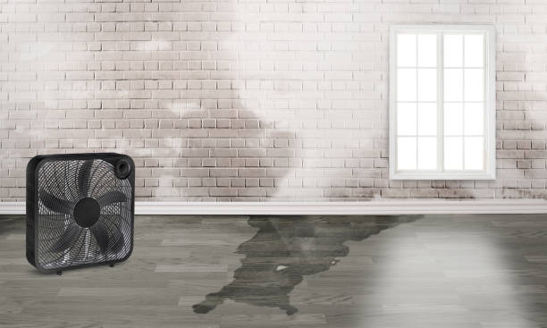 Best Carpet water damage restoration  in Lake Oswego, OR
