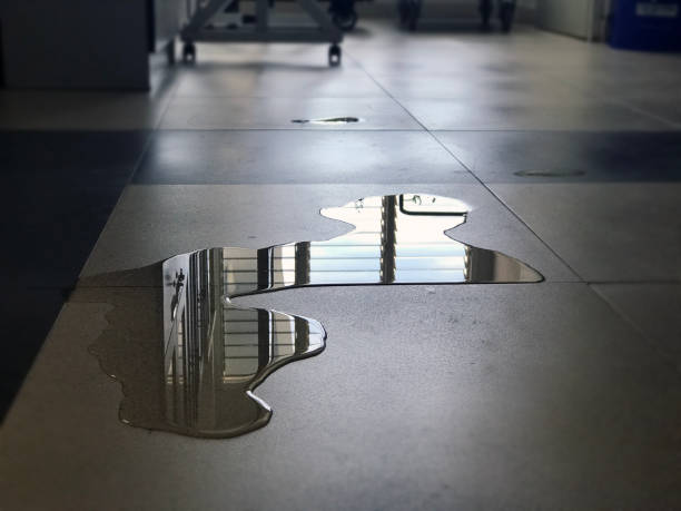 Best Water damage restoration process  in Lake Oswego, OR