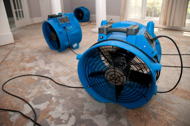 Best 24-hour water damage restoration  in Lake Oswego, OR
