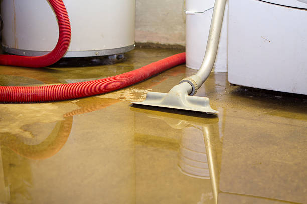 Best Fire Damage Restoration  in Lake Oswego, OR