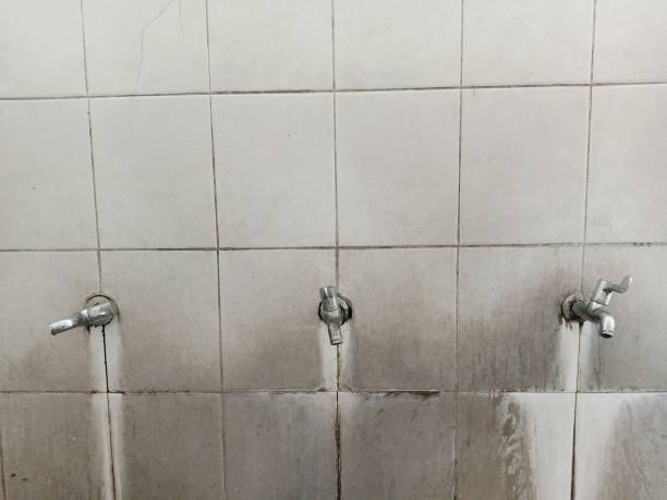 Best Water damage restoration near me  in Lake Oswego, OR