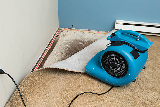 Fire Damage Restoration in Lake Oswego, OR