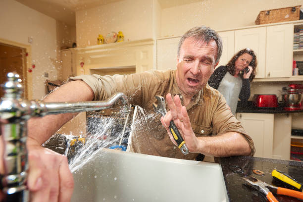 Best Commercial water damage restoration  in Lake Oswego, OR
